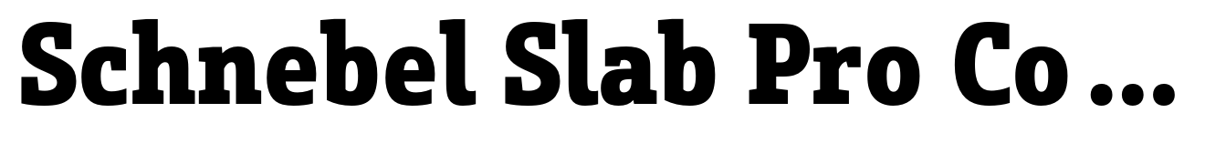 Schnebel Slab Pro Condensed Black